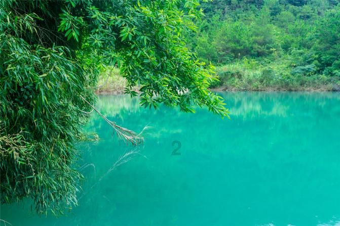 繁花:卢美琳永远不知,魏总身无分文,却拿下88桌20万酒席的