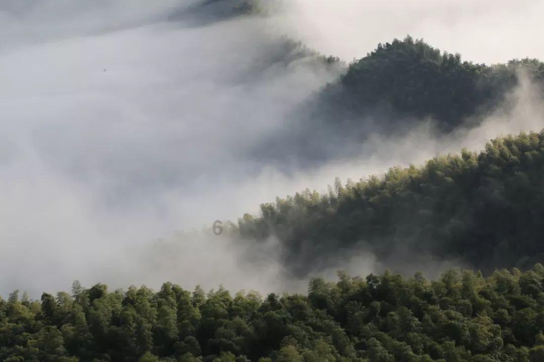 自己开设民宿？这十个经营建议请务必收藏