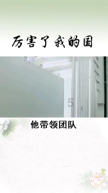 除虫大师