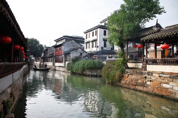 漂亮鹦鹉救援